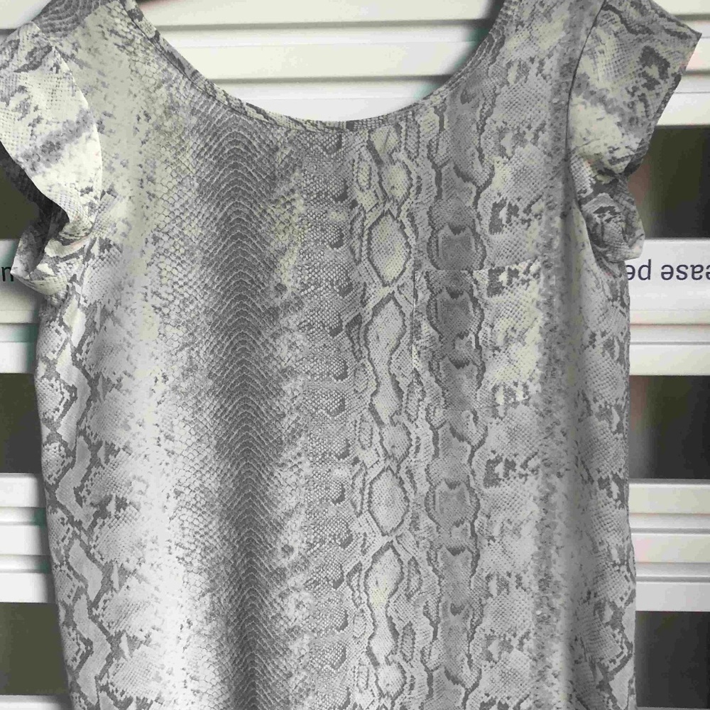 Joie Silk Top